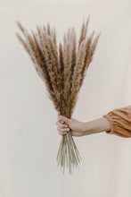 Load image into Gallery viewer, Autumn Mini Pampas - NU MOON
