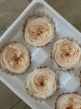 Load image into Gallery viewer, Preserved Garden Rose Boxes