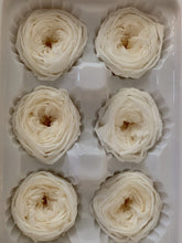 Load image into Gallery viewer, Preserved Garden Rose Boxes