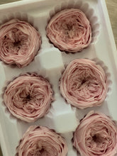 Load image into Gallery viewer, Preserved Garden Rose Boxes