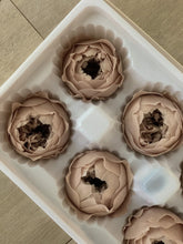 Load image into Gallery viewer, Preserved Garden Rose Boxes