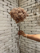 Load image into Gallery viewer, Preserved Hydrangea