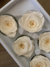 Load image into Gallery viewer, Preserved Rose Box