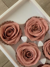 Load image into Gallery viewer, Preserved Rose Box
