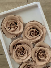 Load image into Gallery viewer, Preserved Rose Box