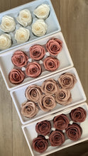 Load image into Gallery viewer, Preserved Rose Box
