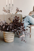 Load image into Gallery viewer, Preserved Eucalyptus by Nu Moon