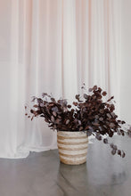 Load image into Gallery viewer, Preserved Eucalyptus by Nu Moon