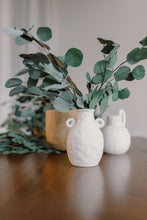 Load image into Gallery viewer, Preserved Eucalyptus by Nu Moon