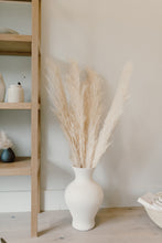 Load image into Gallery viewer, Soleil Pampas - NU MOON