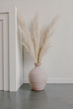 Load image into Gallery viewer, Champagne Pampas Grass | Nu Moon