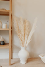 Load image into Gallery viewer, Soleil Pampas - NU MOON
