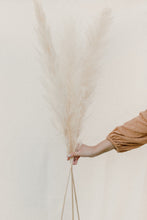 Load image into Gallery viewer, Soleil Pampas - NU MOON