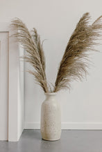 Load image into Gallery viewer, Desert Sand Pampas | Nu Moon