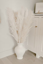 Load image into Gallery viewer, Cloud Pampas | Nu Moon