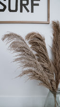 Load image into Gallery viewer, Desert Sand Pampas | Nu Moon