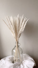 Load image into Gallery viewer, Winter Mini Pampas Grass | Nu Moon
