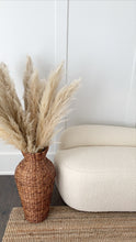 Load image into Gallery viewer, Champagne Pampas Grass | Nu Moon
