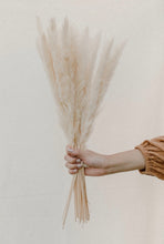 Load image into Gallery viewer, Summer Mini Pampas | Nu Moon