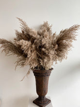 Load image into Gallery viewer, Wild Pampas - NU MOON