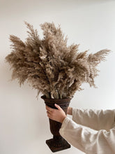 Load image into Gallery viewer, Wild Pampas - NU MOON