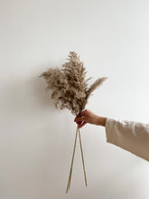 Load image into Gallery viewer, Wild Pampas - NU MOON