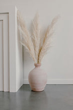 Load image into Gallery viewer, Champagne Pampas Grass | Nu Moon 
