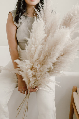 Champagne Pampas Grass | Nu Moon 