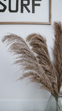 Load image into Gallery viewer, Desert Sand Pampas | Nu Moon 
